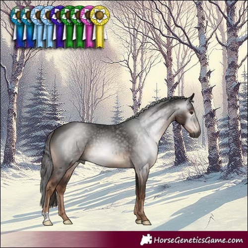 Horse Color:Gray Liver Chestnut 