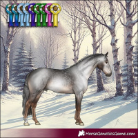 Horse Color:Gray Liver Chestnut 