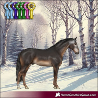 Horse Color:Gray Liver Chestnut