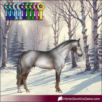 Horse Color:Gray Liver Chestnut 