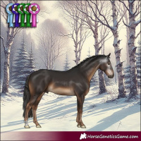 Horse Color:Gray Liver Chestnut