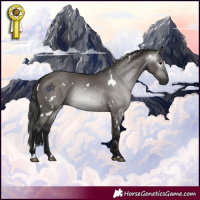 Horse Color:Gray White Spotted Grullo Rabicano