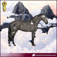 Horse Color:Gray White Spotted Grullo Rabicano