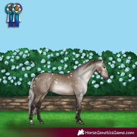 Horse Color:Gray White Spotted Silver Grullo Varnish 