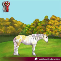 Horse Color:Watercolor White Spotted Liver Chestnut Sabino