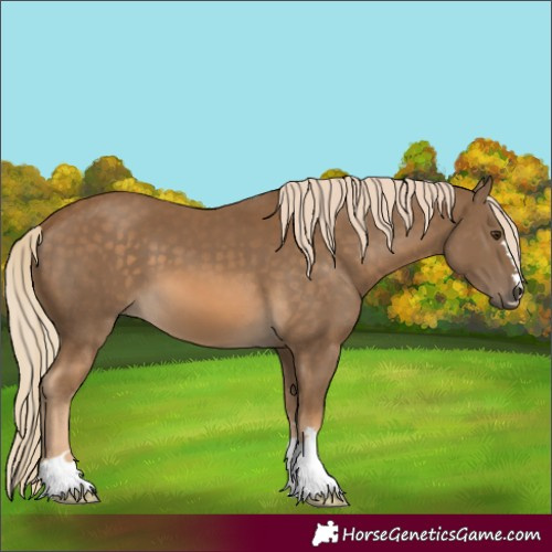 Horse Color:Chocolate Palomino