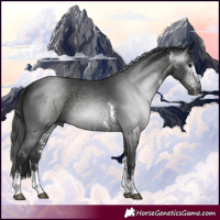 Horse Color:Gray Black Sabino