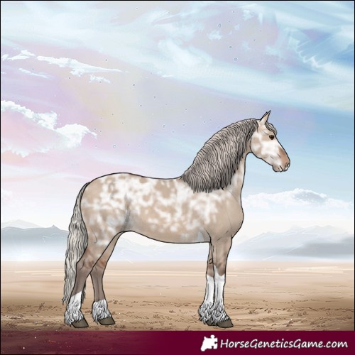 Horse Color:Silver Bay Ice Dun Tobiano 