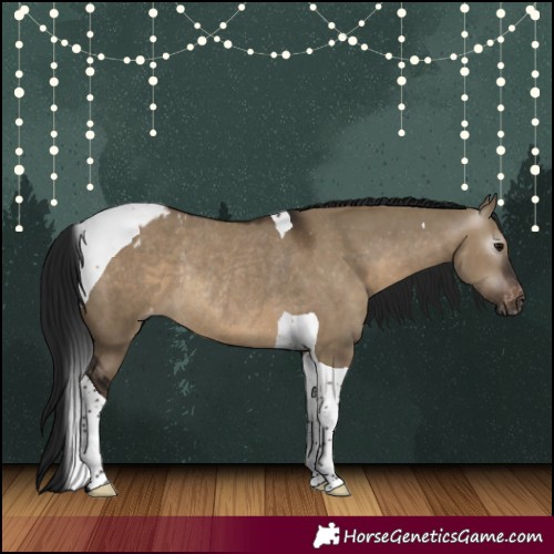 Horse Color:Gray Brown Dun Tobiano Appaloosa Rabicano