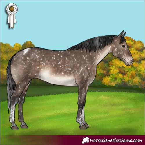 Horse Color:Brown Dun Tobiano Appaloosa Rabicano 