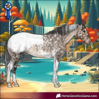 Horse Color:Brown Dun Tobiano Appaloosa Rabicano
