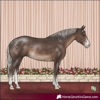 Horse Color:Silver Black Sabino Rabicano 