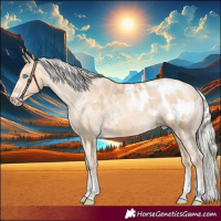 Horse Color:Silver Buckskin Pearl Appaloosa 