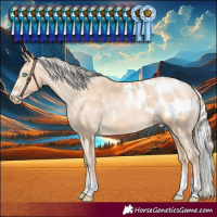 Horse Color:Silver Buckskin Pearl Blanket