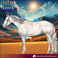 Horse Color:Silver Buckskin Pearl Appaloosa 