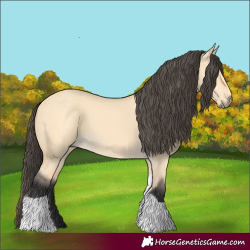 Horse Color:Buckskin Dun Tobiano 