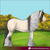 Horse Color:Buckskin Dun Tobiano 