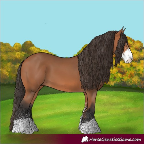 Horse Color:Bay Sabino 