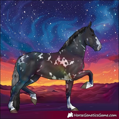 Horse Color:White Spotted Smoky Black