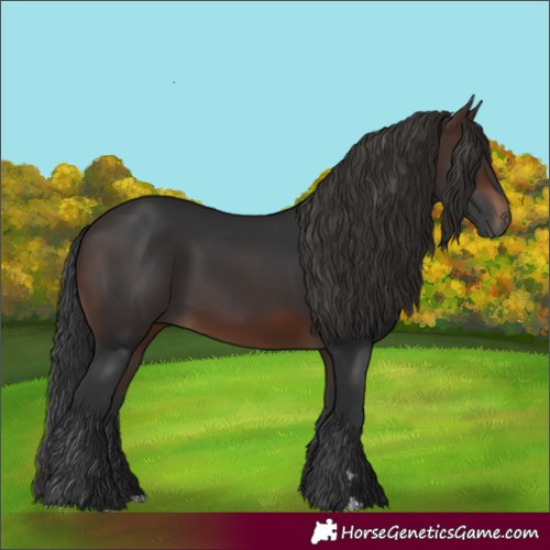 Horse Color:Brown 