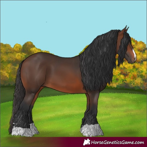 Horse Color:Brown 