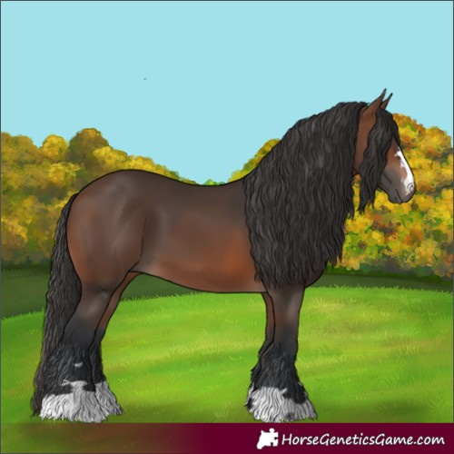 Horse Color:Brown 