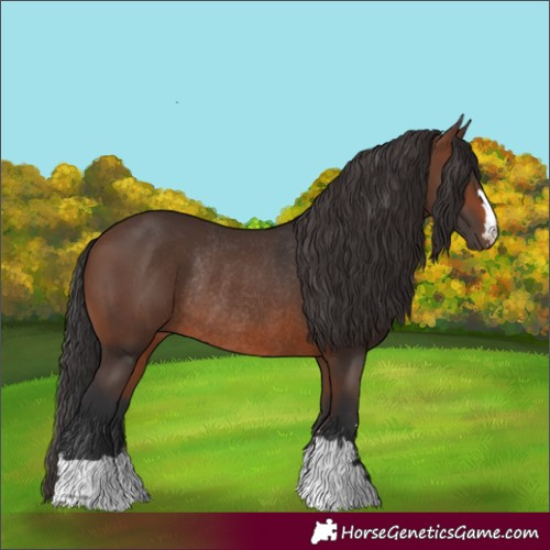 Horse Color:Brown Rabicano 