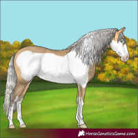 Horse Color:Silver Amber Cream Champagne Frame
