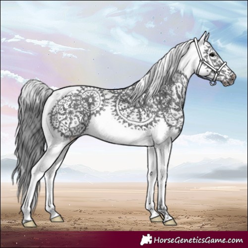 Horse Color:Black Sabino Frame
