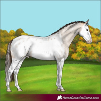 Horse Color:Bay Roan Dun Splash Frame Appaloosa 