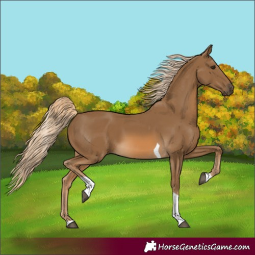 Horse Color:Unknown 