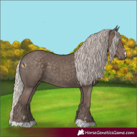 Horse Color:Silver Black 