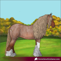 Horse Color:Red Roan Tobiano 