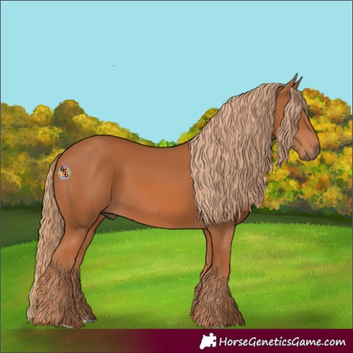 Horse Color:Chestnut 