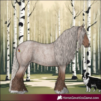 Horse Color:Silver Blue Roan
