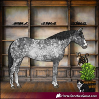 Horse Color:Black Ice 