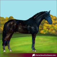 Horse Color:ERROR: UNKNOWN ANOMALY