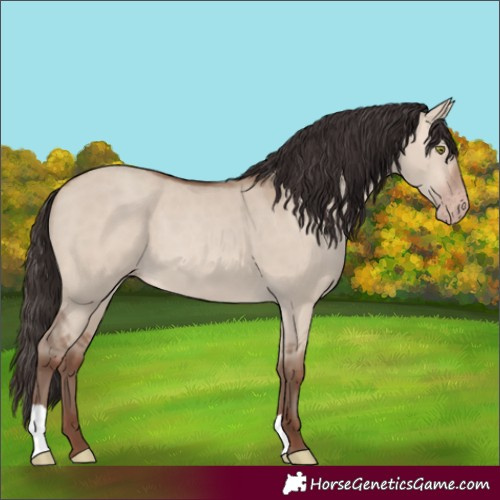 Horse Color:Sable Champagne Dun 