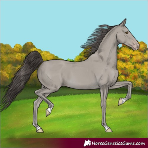 Horse Color:Classic Cream Champagne 