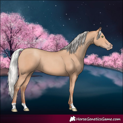 Horse Color:Silver Amber Champagne 
