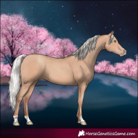 Horse Color:Silver Amber Champagne 