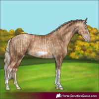 Horse Color:Chocolate Palomino Pearl Tobiano Frame  and Gray Chocolate Palomino Pearl Tobiano Frame 