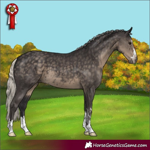 Horse Color:Silver Smoky Black 