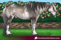 Horse Color:White Spotted Blue Onyx 