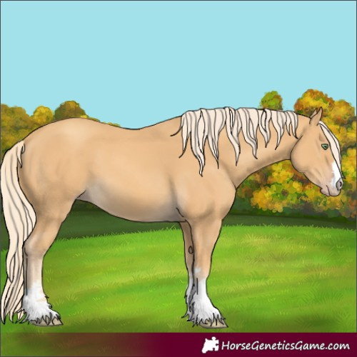 Horse Color:Gold Cream Champagne 