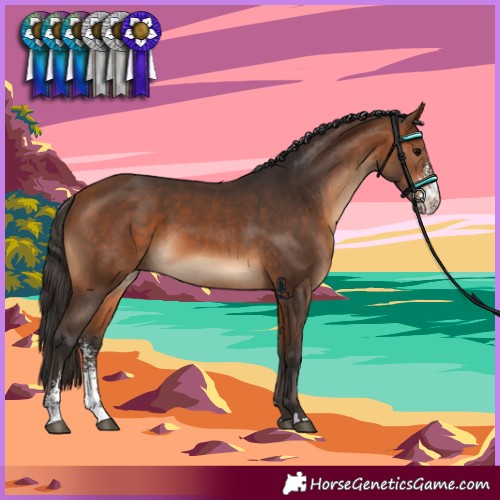 Horse Color:Bay Sabino 