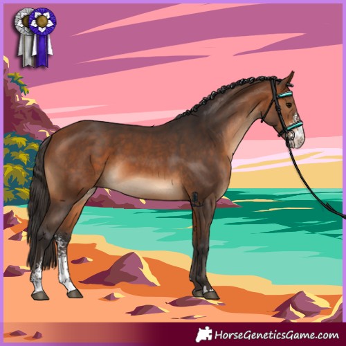 Horse Color:Bay Sabino 
