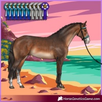 Horse Color:Bay Sabino 