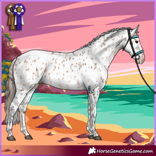 Horse Color:Bay Dun Appaloosa 