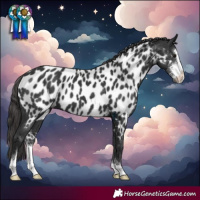 Horse Color:Black Sabino Near Leopard 